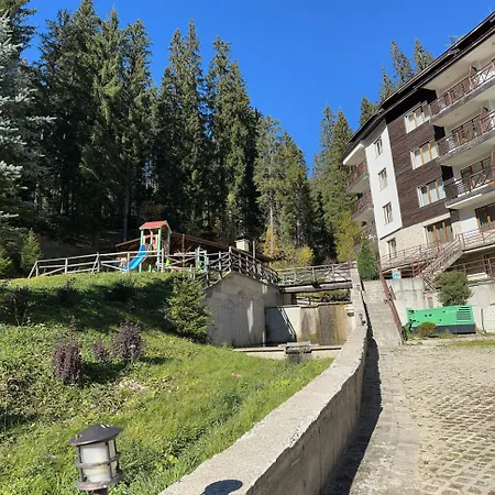 Alenik Private -the Stream