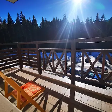 Alenik Private -the Stream Apartment Pamporovo