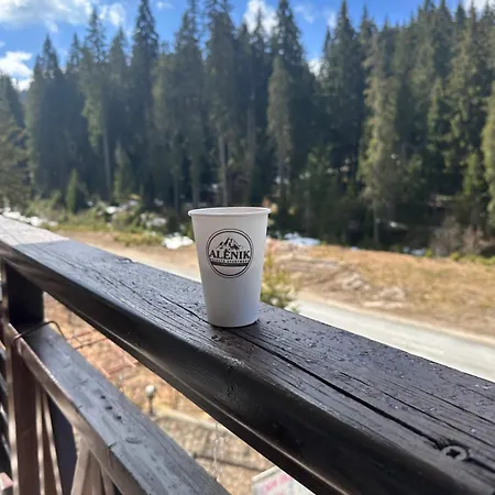 Alenik Private -pamporovo * Pamporowo
