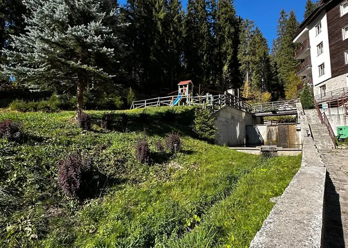 Alenik Private -the Stream * Pamporovo